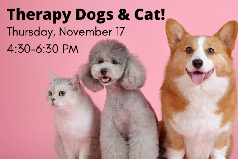 Therapy Dogs And Cat Study Break St Catherine University Library And therapy-dogs-and-cat-study-break-st-catherine-university-library-and